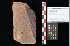 Foto (Objekt + Etikett) von Myrica lignitum Unger (NHMW-GEO-2024-0188-0579)